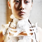 点击查看Polina Vinogradova艺术家的简介与全部作品