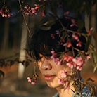 点击查看Đình Điệp艺术家的简介与全部作品