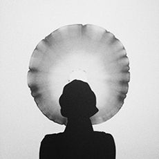 点击查看Sanil Choi艺术家的简介与全部作品