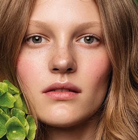 点击查看Stitch Design Co.艺术家的简介与全部作品