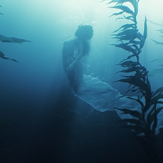 点击查看Margarita Zhitnik艺术家的简介与全部作品