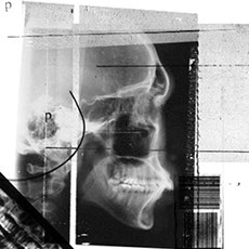 点击查看Bert Chu Chen艺术家的简介与全部作品