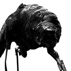 点击查看Lukasz Pazera艺术家的简介与全部作品