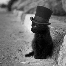 点击查看Michel DI MARCO艺术家的简介与全部作品