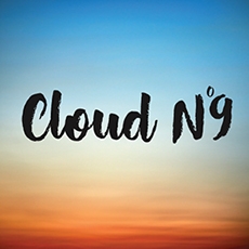 点击查看Cloud N°9艺术家的简介与全部作品