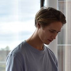 点击查看Viggo Blomqvist艺术家的简介与全部作品