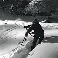 点击查看Thilo Sicheneder艺术家的简介与全部作品