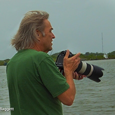 点击查看steven baggett艺术家的简介与全部作品