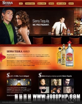 欧美个人网页设计师超酷网页作品截图