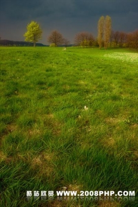 沃尔德马wienchol摄影作品欣赏