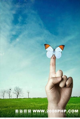 韩国商务趣味图片欣赏