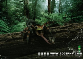 Shock FX广告招贴欣赏