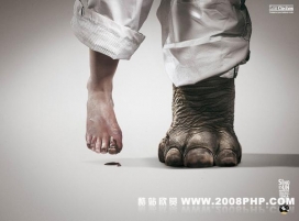 Los Coches: 货不对板