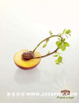 卡尔加里农贸市场：新鲜世界