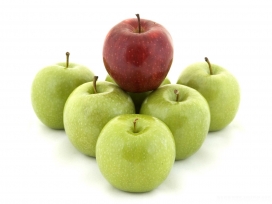 韩国水果图片欣赏