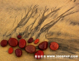 第二届Masters Cup摄影大赛业余奖选登