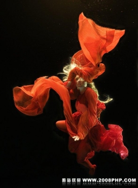 Zena Holloway水下艺术摄影作品