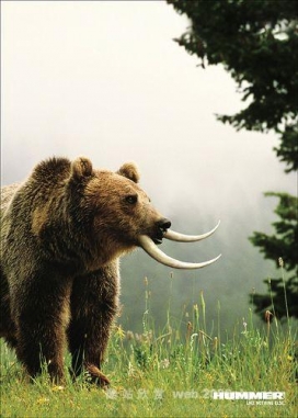 09续发国外创意平面广告