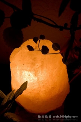 09年欧美最新生活静物近距离摄影