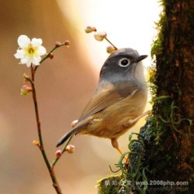 09国外最新动物世界精彩抓拍摄影