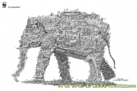 WWF 动物地图平面广告设计