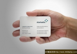 欧美Starbaltic公司企业网站VI形象设计