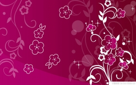 09韩国最新高清桌面晰炫彩花纹壁纸